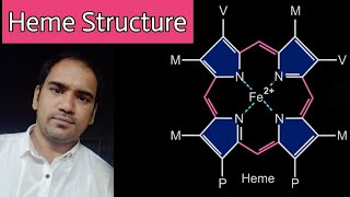 Heme  Structure  Porphyrin  types of porphyrins  bond between oxygen and iron [upl. by Euqinom]