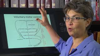 150 Introduction to Motor Control [upl. by Airtened]