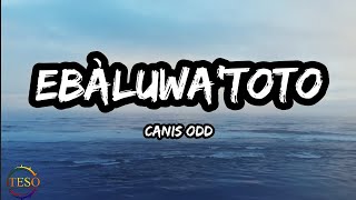 Ebaluwatoto by Canis odd lyrics [upl. by Nwad338]