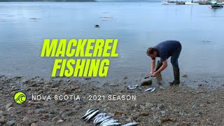 Mackerel Fishing From Shore  Nova Scotia Canada 2021 [upl. by Ford]