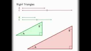 Sine Cosine Tangent Trigonometry Right Triangle Math Explained [upl. by Vange]