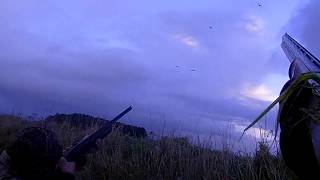 Pinkfoot Goose Shooting Over Decoys 2017 2018 Season PART 1 [upl. by Ardnait530]