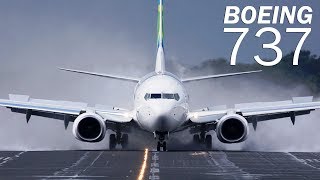 Boeing 737  the most popular airliner [upl. by Notnert]