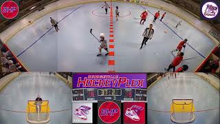 Bridgeville Hockeyplex LiveStream [upl. by Lattonia556]