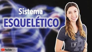 Sistema Esquelético 15 Introdução  Anatomia e etc [upl. by Nilloc]