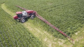 Case Patriot 4430 Sprayer w120 Foot Booms  Spraying Status [upl. by Loutitia]