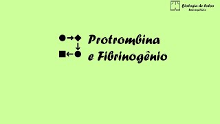 Protrombina e Fibrinogênio [upl. by Grimbald]