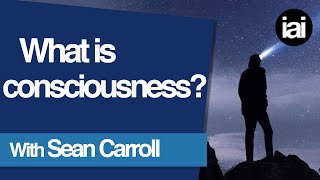 What Is Consciousness  Sean Carroll [upl. by Finella]