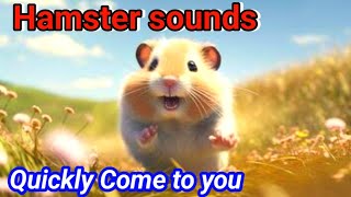 Hamster Noises That Will Make You Speak Hamster  Guaranteed [upl. by Ymmak]