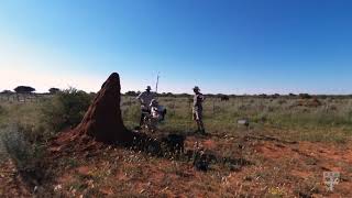 Termite mounds in Namibia inspire energyefficient buildings [upl. by Iznek27]