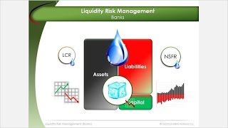 Liquidity Risk Management  Basel 3 [upl. by Antoni115]