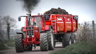 IH 1455XL  CHEVANCE  Transport de fumiermanure [upl. by Eicarg636]