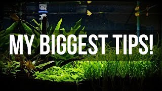 Planted Aquariums for Beginners  My Biggest Tips [upl. by Fania128]