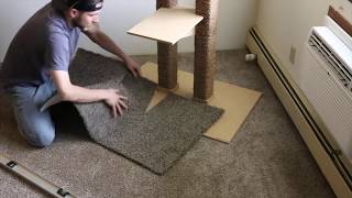 Feandrea Cat Tree Large Cat TowerAssembly video with our Cats [upl. by Pisarik]