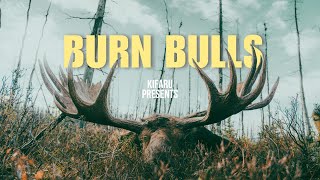 BURN BULLS  2 GIANT ALASKAN MOOSE [upl. by Barnard]