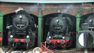 EisenbahnFest Staßfurt 12  Steam Train  Züge [upl. by Yddeg]