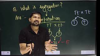 Law of Segregation Principles of inheritance Mendelism NCERT Biology class 12th NEETUG [upl. by Naima]