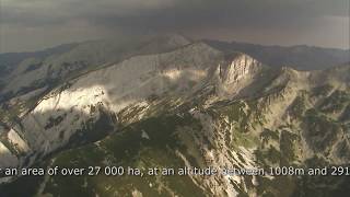 Pirin National Park [upl. by Eitsyrhc]