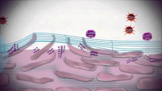 Uriage Bariederm  Isolating and repairing skincare [upl. by Dnanidref906]