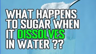 The Dissolution Process Explained What Happens to Sugar When It Dissolves In Water [upl. by Eecyac]