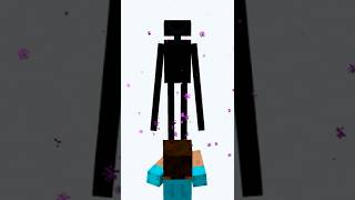 Minecraft Enderman FACTS [upl. by Hellman]