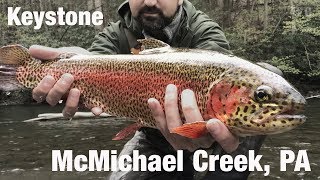 Fly Fishing Keystone Select McMichael Creek PA  Wooly Bugged [upl. by Jung]