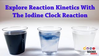 Explore Reaction Kinetics With the Iodine Clock Reaction  Science Project [upl. by Idnac]