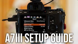 Sony a7III  How I Setup for Photos amp Videos  SETUP GUIDE AND MENU SETTINGS [upl. by Susannah]