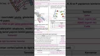 8 sınıf fen 1 dönem 2 yazılı soruları ve cevapları [upl. by Nalhsa442]