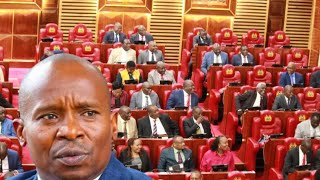 SEE HOW MPs VOTED ON RUTO APPOINTEE KINDIKI TO POSITION OF DEPUTY PRESIDENT AFTER GACHAGUA IMPEACHED [upl. by Anavlys]