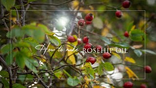 How to make Rosehip oil  Natural beauty  Homemade skincare [upl. by Asiat]