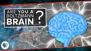 Are You a Boltzmann Brain [upl. by Zola169]