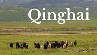 THINGS TO DO IN QINGHAI CHINA  Qinghai Travel Guide  Tibetan Plateau [upl. by Golliner]