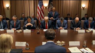 President Trump holds 1st official Cabinet meeting [upl. by Rustie131]