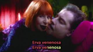 Rita Lee  Erva Venenosa Karaoke [upl. by Ecnarf]