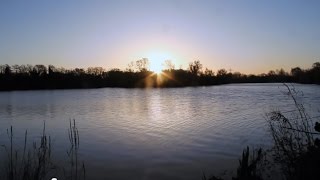 Dave Lane Carp Blog  Dave Lanes First Burghfield Lake Experience [upl. by Jenkel]