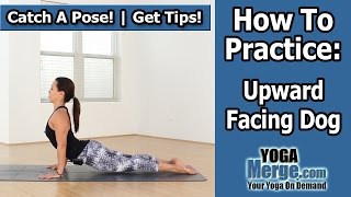 Upward Facing Dog  Yoga Pose Tips amp Instruction [upl. by Trahern]