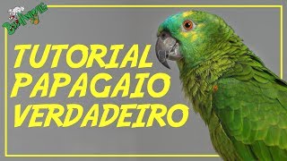 Tutorial Papagaio Verdadeiro [upl. by Garold]