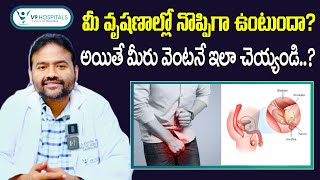 Common Causes of Testicular Pain  Epididymitis Symptoms and Treatment in Telugu  V9 Hospitals [upl. by Apul]