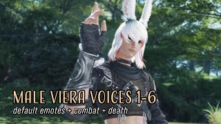 FFXIV Male Viera  Voices 16 [upl. by Oidgime]