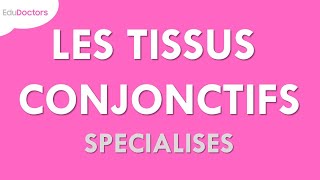 Les tissus conjonctifs spécialisés  Histologie [upl. by Betty]