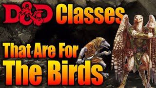 DampD Races Aarakocra and Kenku  What Character Class Should You Play [upl. by Yelekalb966]