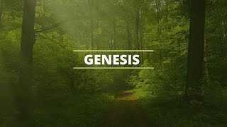 Genesis 44 Part 1 [upl. by Westleigh]