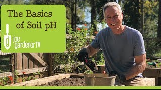 The Basics of Soil pH [upl. by Tish]