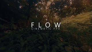 FLOW  Cinematic FPV  AlfaRC F2 Cineboy Cinewhoop [upl. by Fredette]