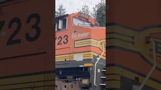 BNSF Dash 944CW leading grain train “Microsoft Train Simulator” [upl. by Eedeed336]