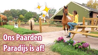 ONS PAARDEN PARADIJS IS AF   felinehoi [upl. by Pasahow256]