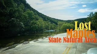 Lost Maples State Natural Area 2020 [upl. by Berk]