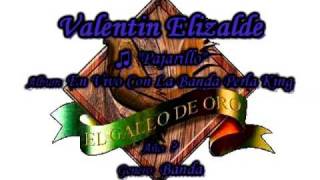 Pajarillo Banda  Valentin Elizalde [upl. by Yalahs311]