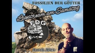 FdG Hangout mit Amok Alex 💀 [upl. by Furie]